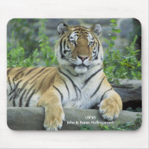 Siberian Tiger mousepads by moxieann Siberian Tiger mousepads