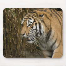 Siberian Tiger Mousepad by SabineSt Siberian Tiger Mousepad