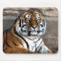 Siberian Tiger mousepads