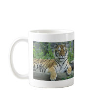 Siberian Tiger Mug