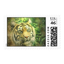 Siberian Tiger Postage