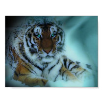 Siberian Tiger posters by highcrow Siberian Tiger posters