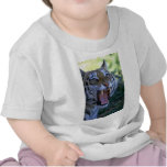 Siberian tiger roaring tee shirts
