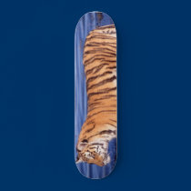 Siberian Tiger skateboards