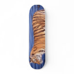 Siberian Tiger skateboards