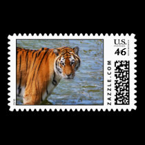 Siberian Tiger stamps