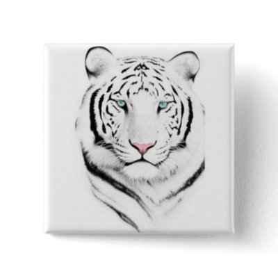 Siberian White Tiger Pinback Buttons by fstasu58