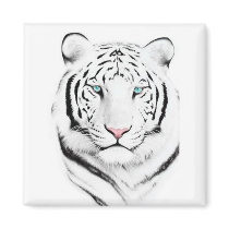 Siberian White Tiger Refrigerator Magnets
