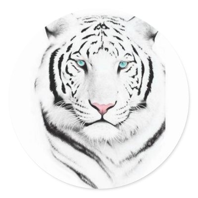 Siberian White Tiger Stickers by fstasu58