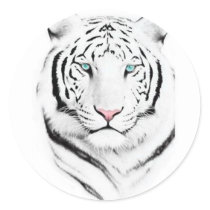 Siberian White Tiger stickers