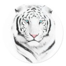 Siberian White Tiger Stickers