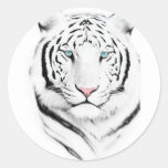 Siberian White Tiger Stickers
