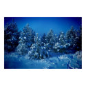 Siberian Winter posters