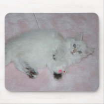 SiberianKittenMousepad mousepads