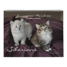Siberians Cats Kittens 2012 - 2013 Calendar
