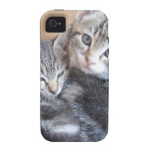 Sibling Kitties iPhone 4 Covers