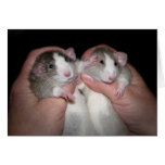 Sibling Rivalry Card