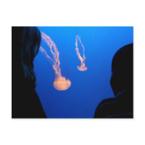 Siblings postcards by lutrasimilis Siblings postcards