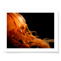 sic itur ad astra ii posters by niineveh sic itur ad astra ii posters