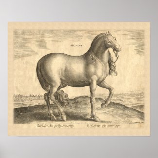 Sicilian Horse Antique Renaissance Print