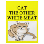 sick cat hater joke custom flyer