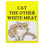 sick cat hater joke personalized letterhead