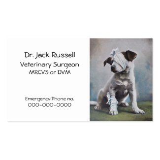 Sick dog veterinary business card