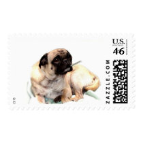 Sick pug with thermometer stamps