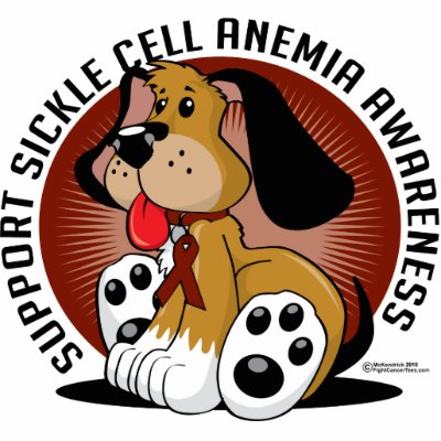 Anemia Dog