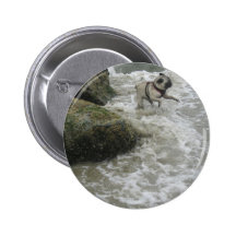 Sid Precious at the Beach Pinback Buttons