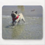 Sid the Pug's Beach Photo - Sid the Puggy Rocket Mousepad