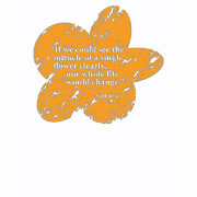 Siddharta Quote shirt