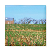side barn n field magnet by KatAnnette side barn n field magnet