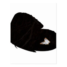 Side butterfly shape with moth pic postcards