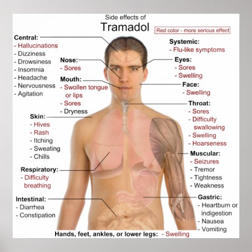 tramadol narcotic in what states is cannabis
