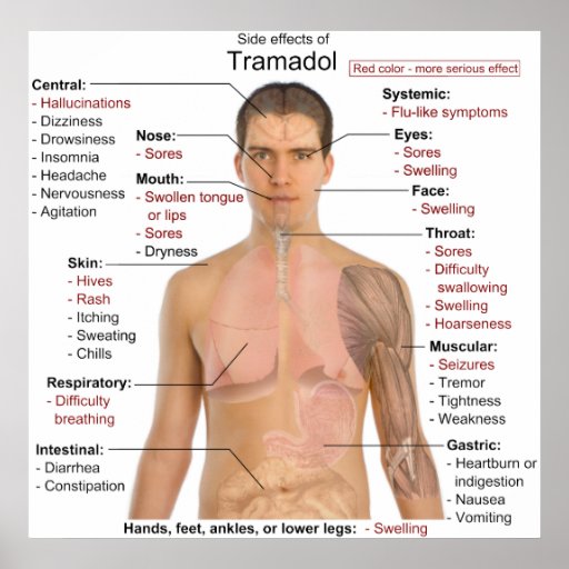 tramadol over the counter