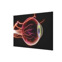 Side view of the blood vessels of the eye canvas prints