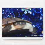 Sideneck turtle looking at viewer on blue tinsel mouse pads