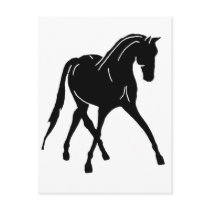Sidepass Dressage Horse postcards by dogsandhorses Sidepass Dressage Horse postcards