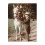 Sidesaddle couple postcard