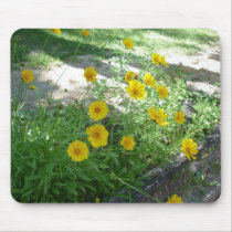 Sidewalk Beauty mousepads