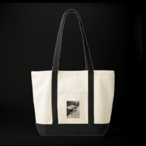 Sidewalk Shadows bags