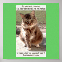 Sidney  Says Poster