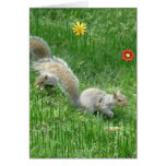 Sidney Squirrel and Friend Cards