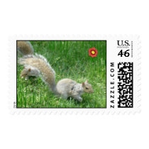 Sidney Squirrel and Friend