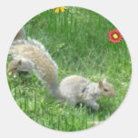 Sidney Squirrel and Friend Round Stickers