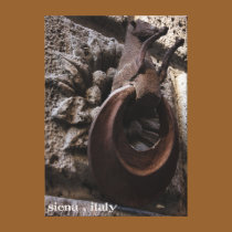 Siena Italy canvas prints