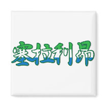 Sierra Leone - In Chinese Magnet