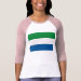 Ladies 3/4 Sleeve Raglan (Fitted)