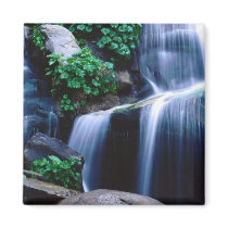 Sierra National Forest, California Fridge Magnet